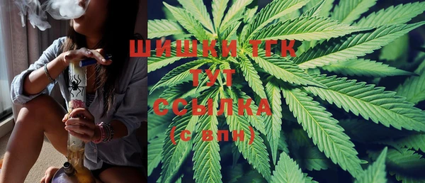 круглые Осинники